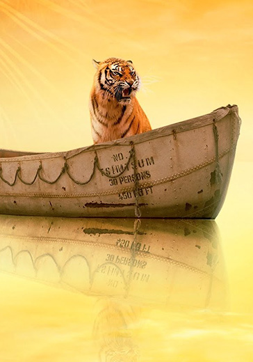 life of pi survival guide