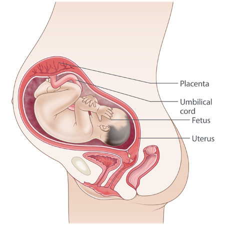 When is a baby too small? Managing third-trimester fetal growth