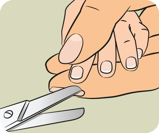 Hygiene and personal care and nails v1 | PPT