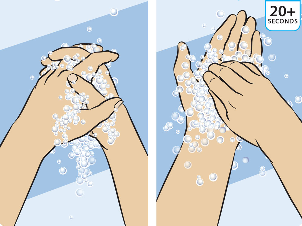 Hand Washing Instruction For Coronavirus Stock Illustration - Download  Image Now - Washing Hands, Hand, Illustration - iStock