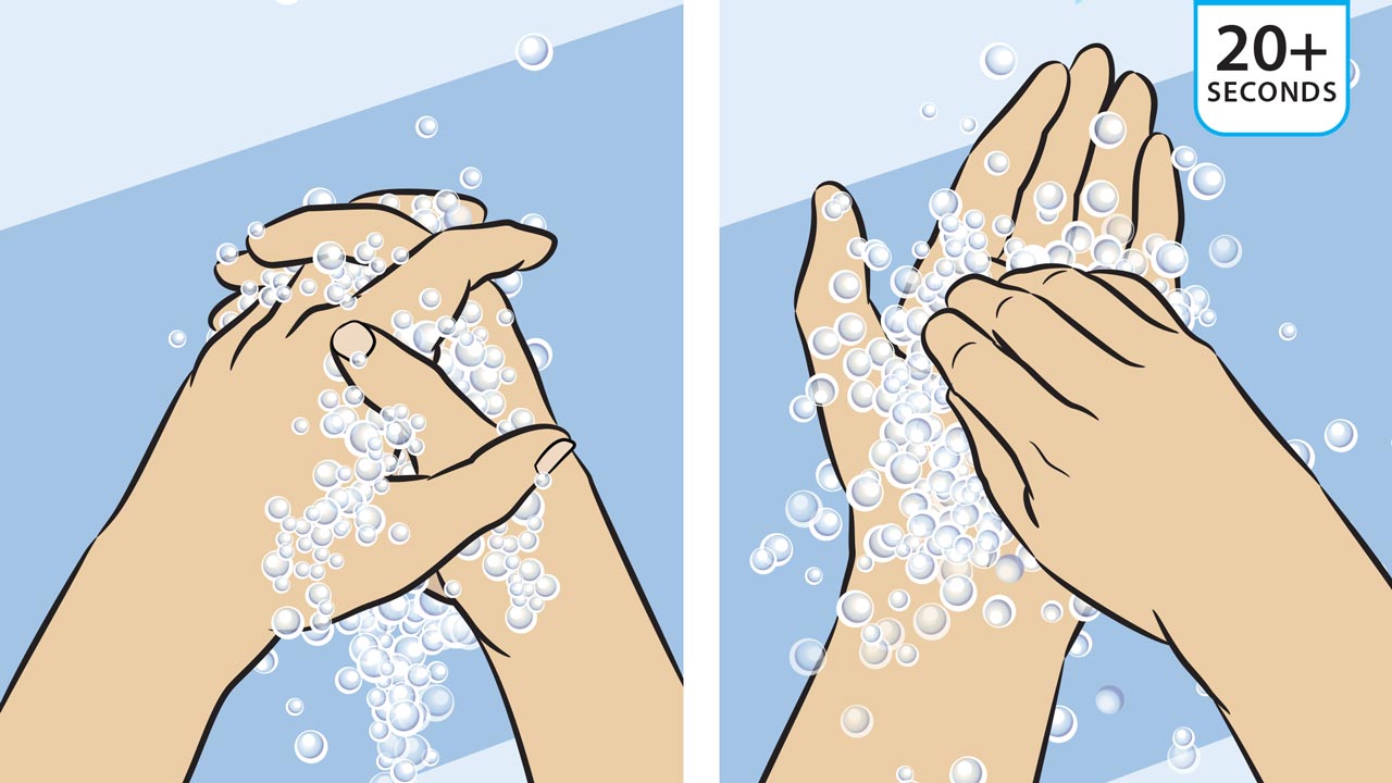 How to wash hands step instructions Royalty Free Vector