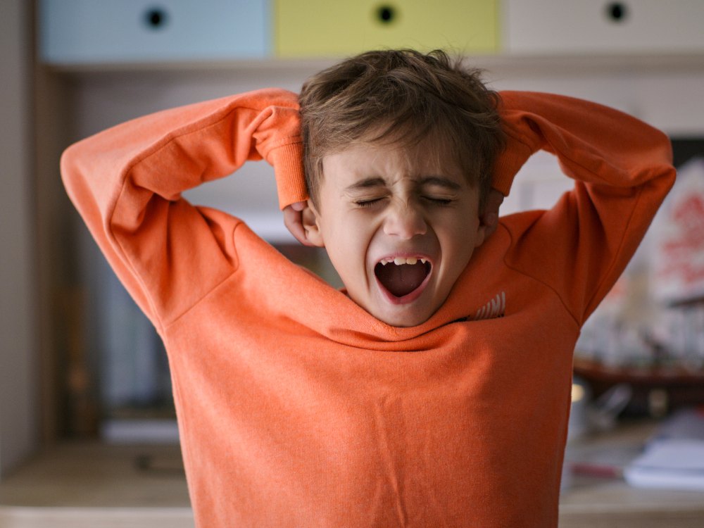 Aggressive Behaviour Autistic Children Narrow 