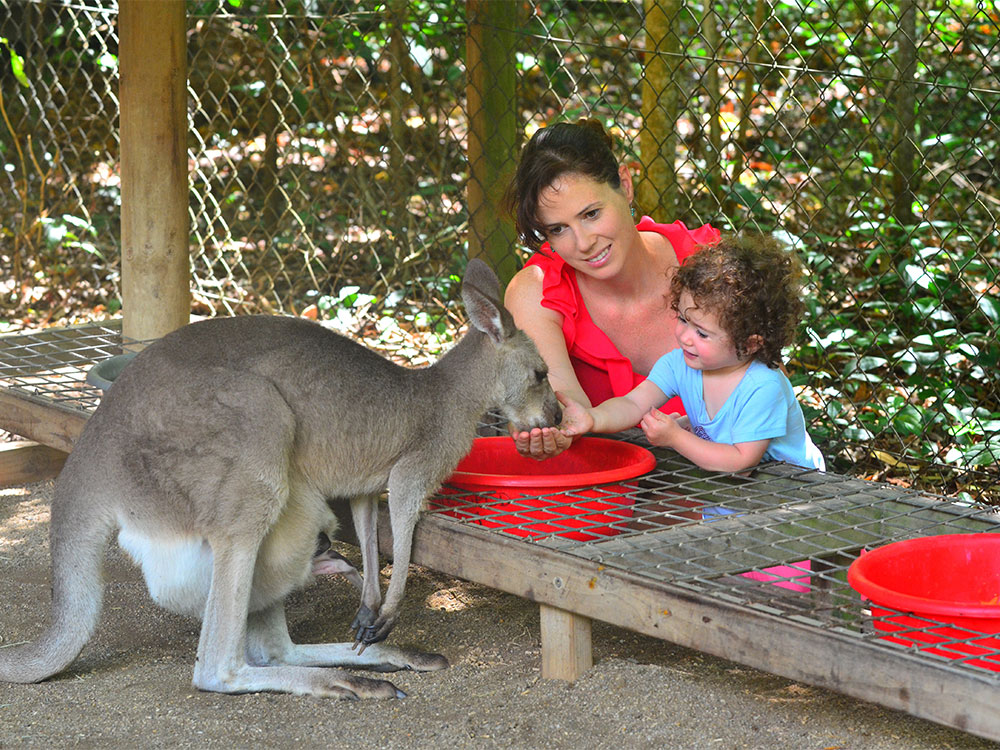 Play & cognitive development: preschoolers